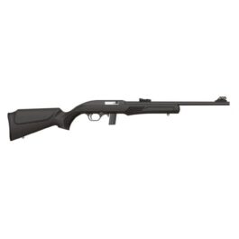 ROSSI RS22 22LR RIFLE, BLACK-RS22L1811