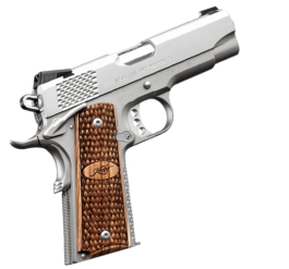 STAINLESS PRO RAPTOR II